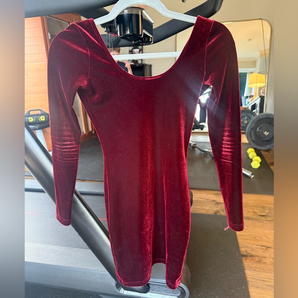 American Apparel Burgundy‎ Velvet Dress